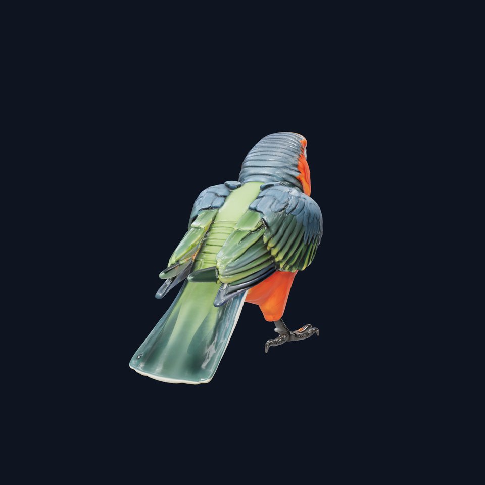 Vibrant Parrot Species Characteristics model pack
